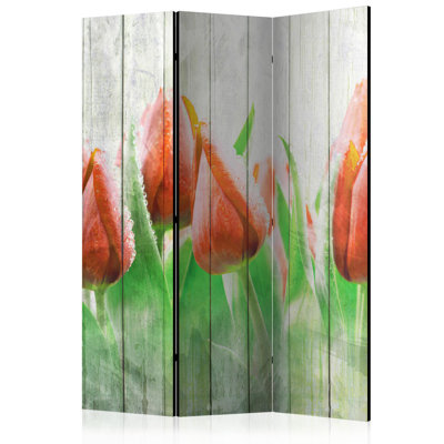53'' W x 68'' H 3 - Panel Solid Wood Folding Room Divider