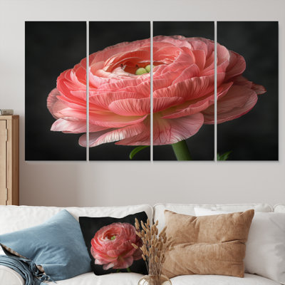 «Mono Ranunculus Frozen Beauty II», ensemble d'art mural Renoncule