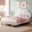 Metal Bed-2022152223