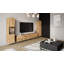 Catharien TV Stand for TVs up to 78"-1485290895