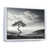 White Floater Framed