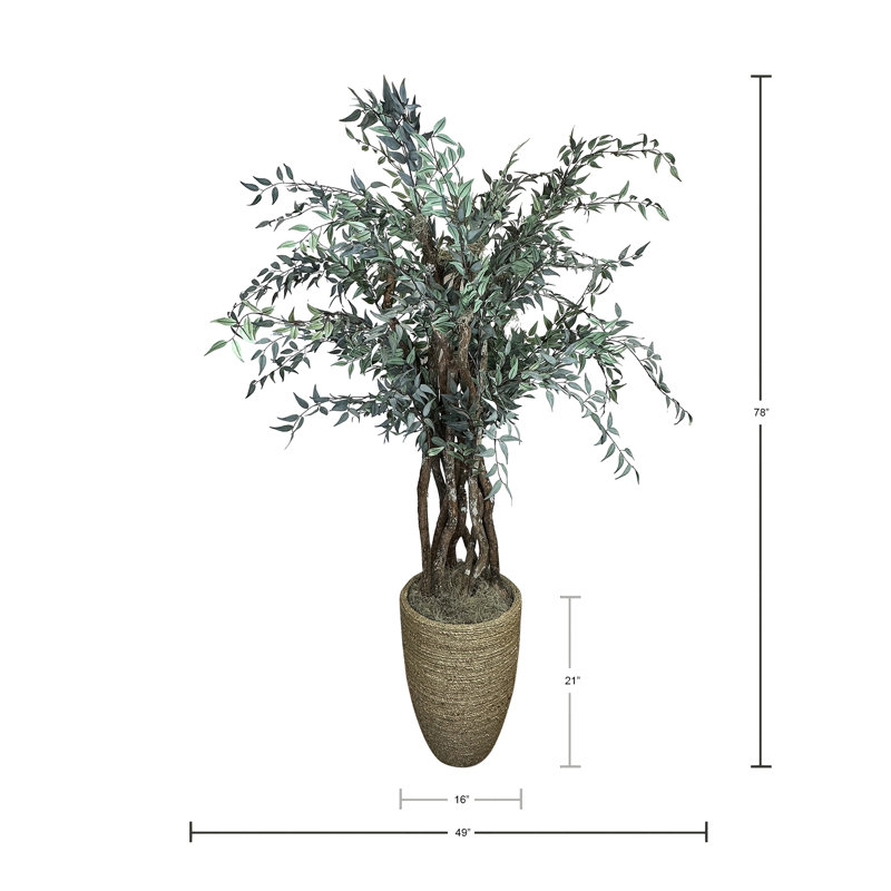 6.5' Faux Italian Ruscus Tree in Seagrass-Wrapped Pot, 78" H x 49" W x 49" D