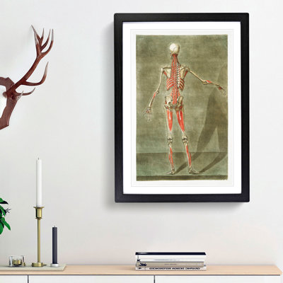 Anatomical Illustration of a Male No. 8 by Gautier-Dagoty - Picture Frame Painting Print