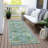 Machine Washable Indoor/Outdoor Xhevrie Green Rug-1725353204