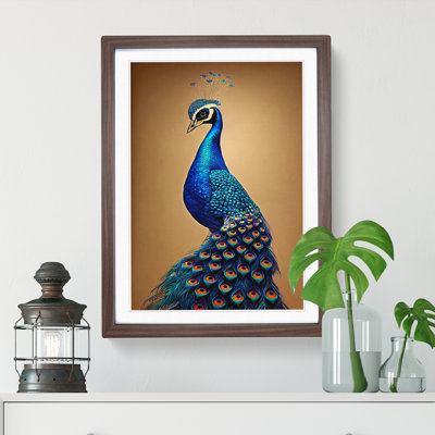 Entrancing Peacock - Single Picture Frame Print