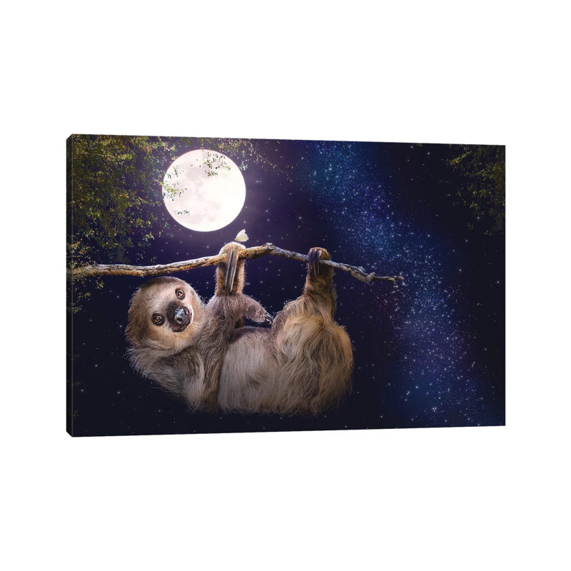 Cute Sloth Hanging On A Branch In Evening by Susan Schmitz - Wrapped Canvas Print, 20.32 cm H x 30.48 cm W