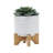 5" Tribal Planter W/ Wood Stand