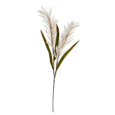 Sorghum Arrangement