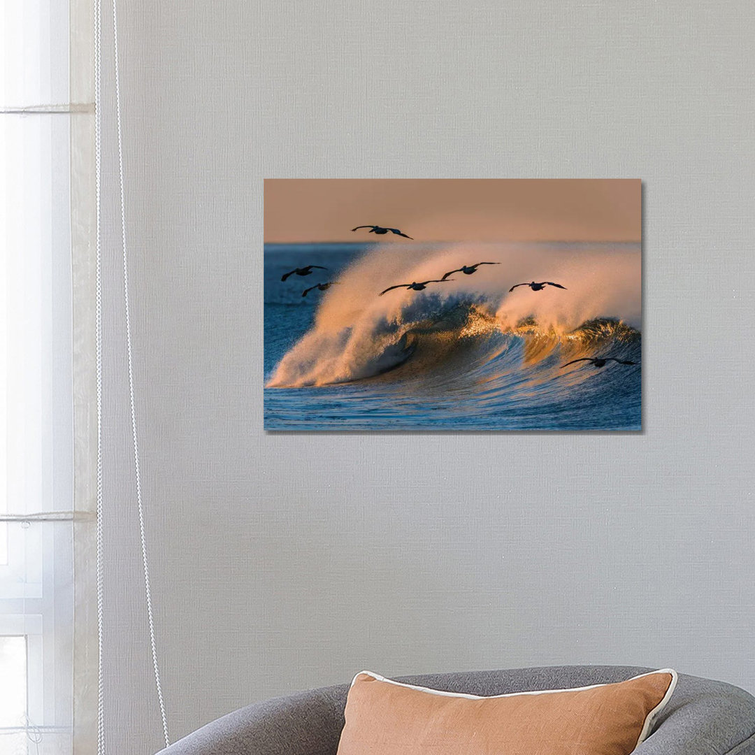 Pelican Flock And Wave