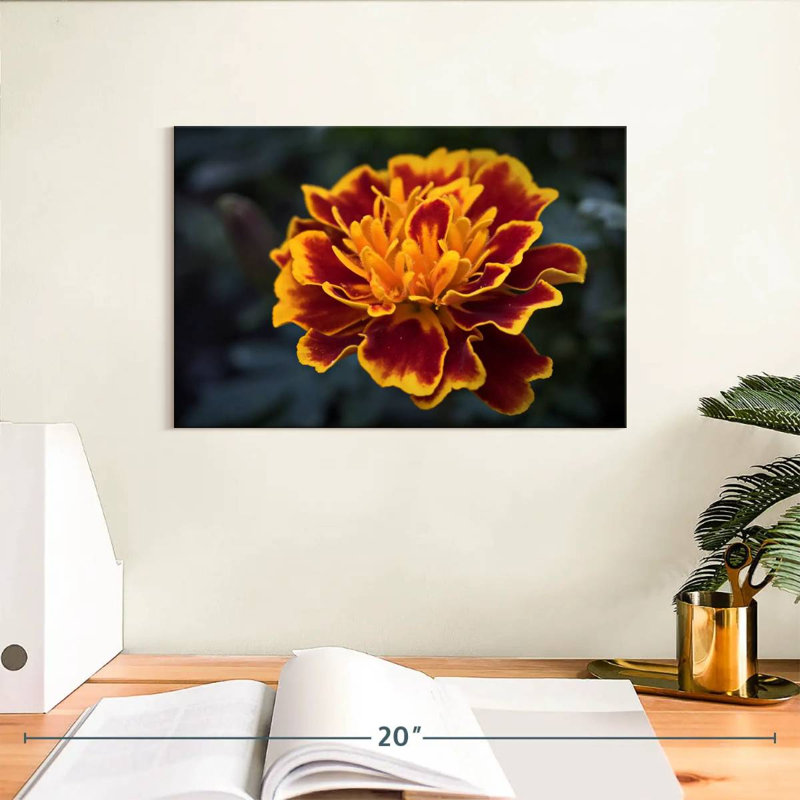 Harnek Red Marigold Flower, 8" H x 12" W
