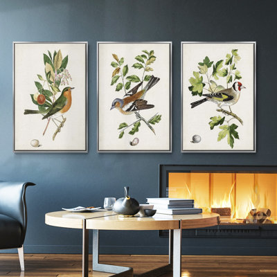 " Antique Botanical Collection IV " 3 - Pieces