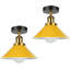 Semi Flush Mount