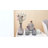 Glass Decorative Bottle-68996736