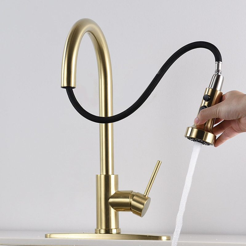 BATHLET Sevag Pull Down Kitchen Faucet, Brushed Gold