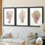Terra Cotta Coral I - reproduction sur mesure encadrée de qualité supérieure - 3 pièces-268661156-268661157
