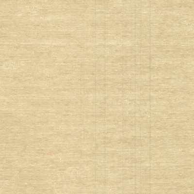 Rouleau de papier peint texturé L 27 pi x 27 po Dinjo