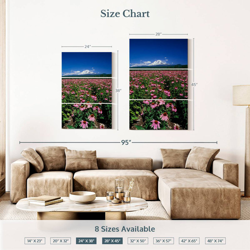Harnek Echinacea Field, 38" H x 24" W