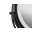 Oval Floor Mirror