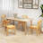 Sucheta 16.5'' H Side Chair