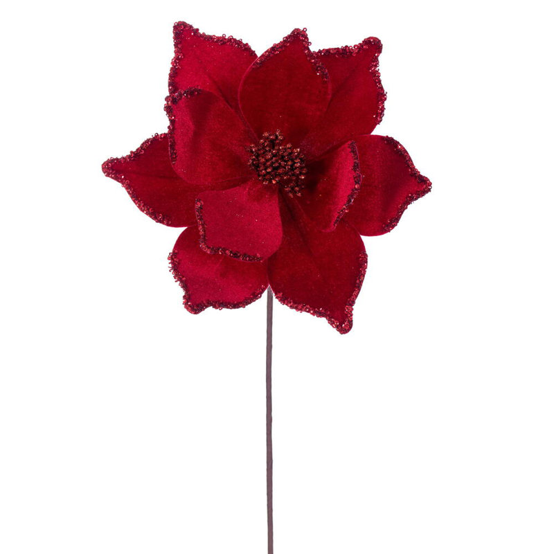 Tiges de poinsettias Cochrane, Rouge
