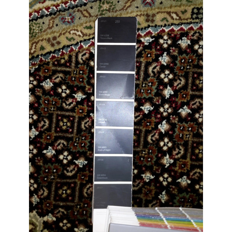Kataleya Oriental Area Rug in Black