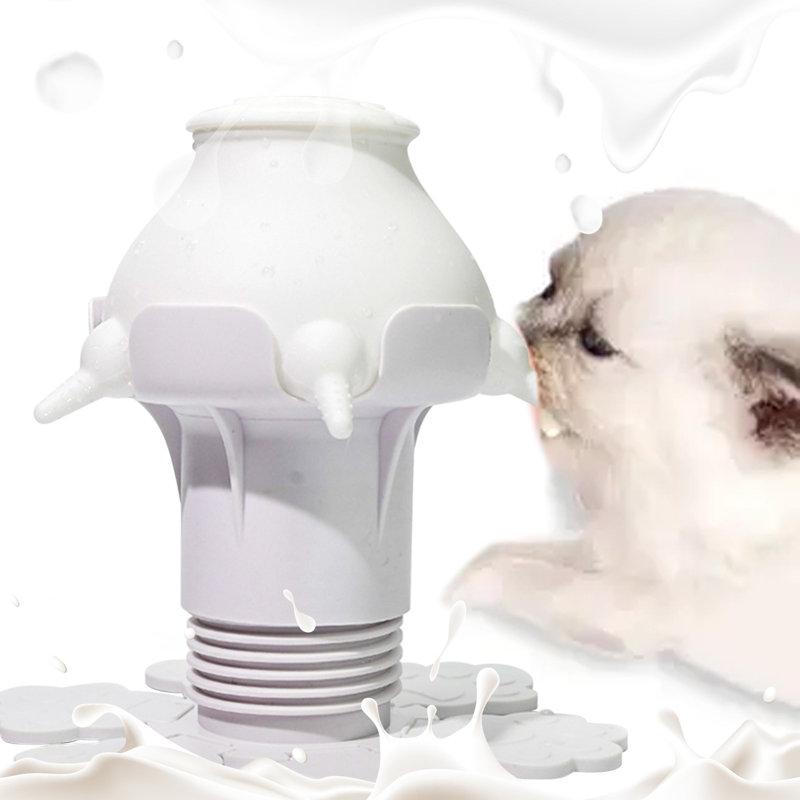 Bouteille d'eau Puppy, Blanc