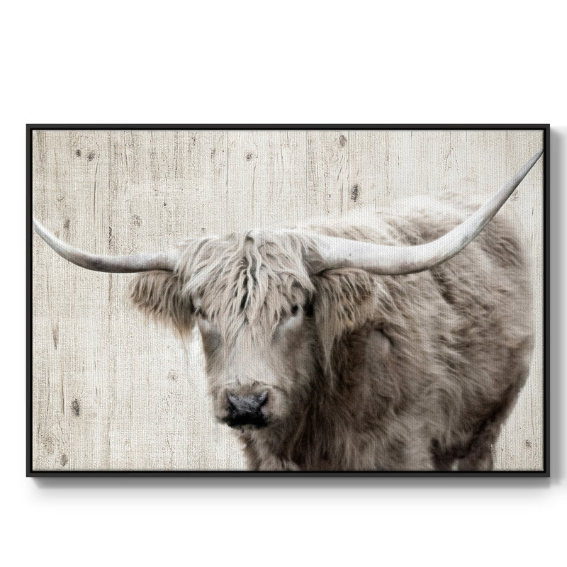 Toile tendue encadrée Longhorn, H 17 po x l 25 po x P 2 po, Noir