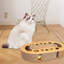 Jouet pour chat avec boule
