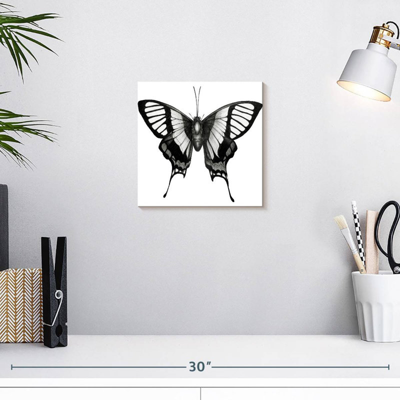 Crowle Butterfly Wings, 10" H x 10" W