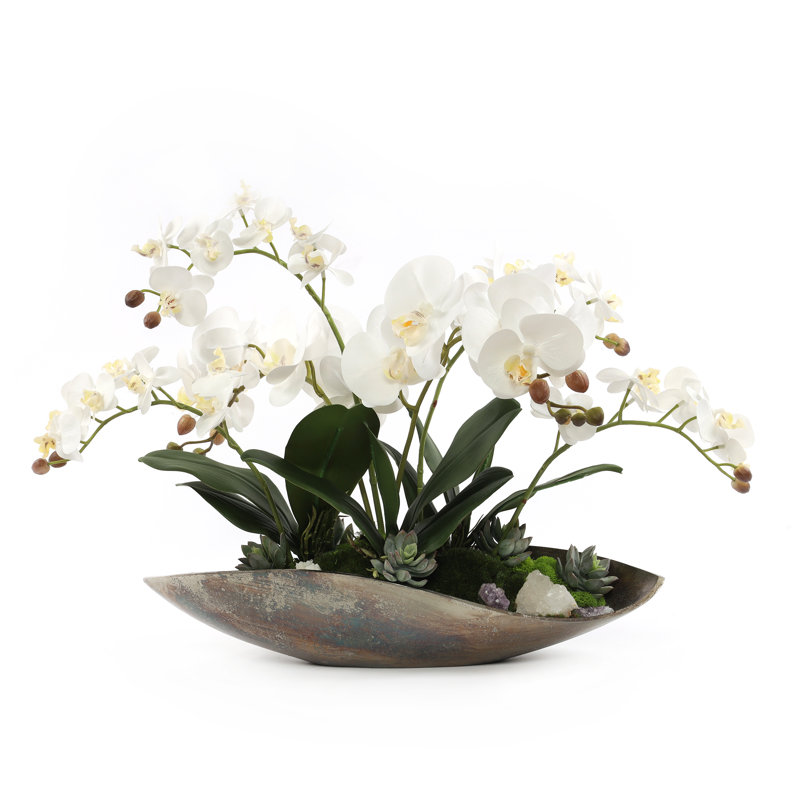 Orchid Floral Arrangement