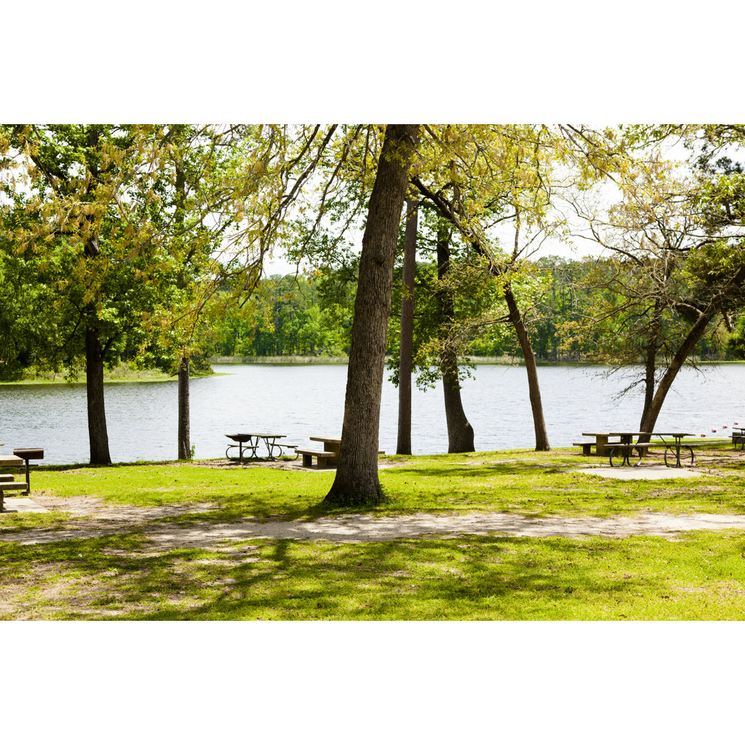 Spring Trees Surround A Lake. Park Picnic Tables At Bank. von Fstop123 - Kunstdrucke ohne Rahmen auf Leinwand