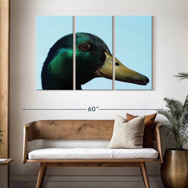 Brampt Mallard Duck Close Up, 32" H x 50" W