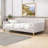 Hiromitsu Upholstered Daybed with Support Legs-224540627-224540628