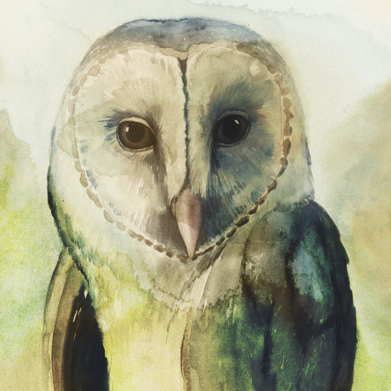 Harlequin Hibou I by Grace Popp - Wrapped Canvas Print, 36" H x 36" W x 1" D