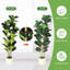 Arrangement