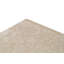 Ikat Area Rug in Beige