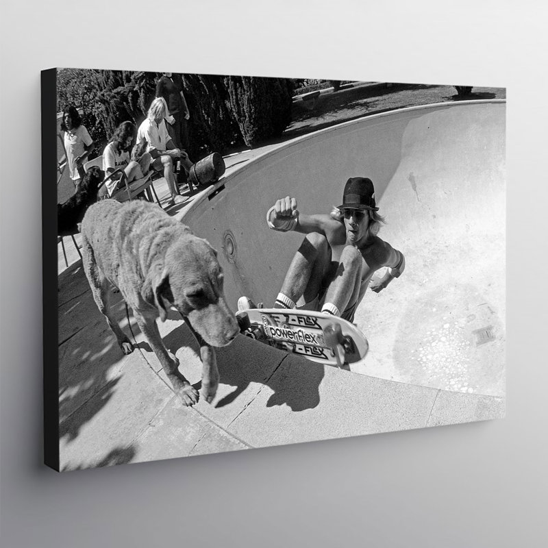 Dogtown And Z Boys Skateboarding - Wrapped Canvas Print, 61cm H x 81cm W x 4cm D