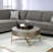 Light Brown & Champagne Finish Coffee Table