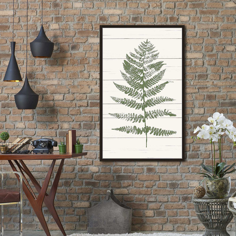 «Fern Print II» par Moira Hershey - impression, H 43,5 po x l 27,5 po x P 2 po, Cadre flottant espresso