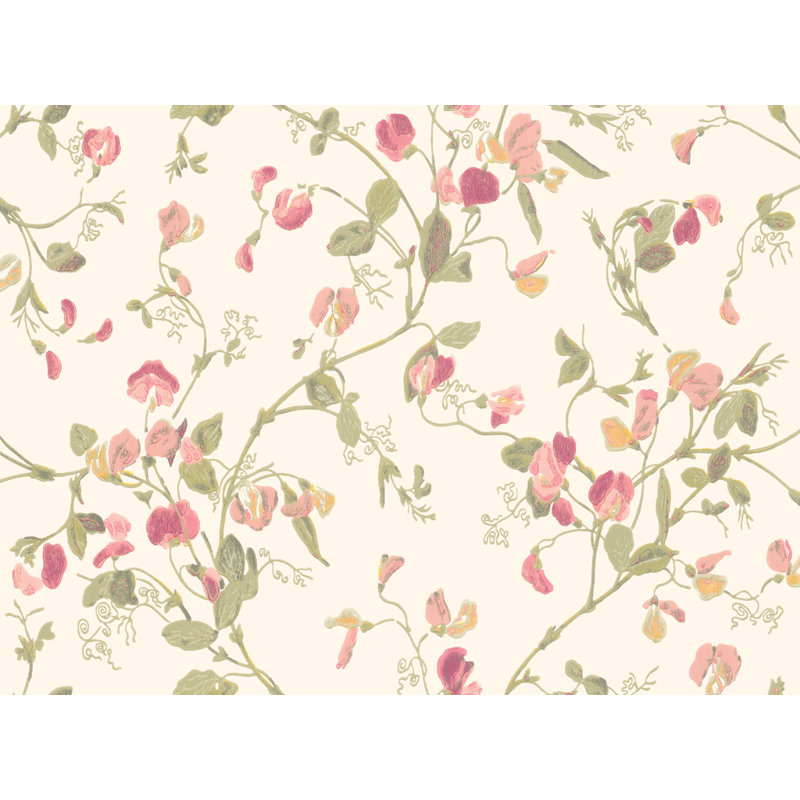Anthology Sweet Pea Floral Wallpaper Roll, Pink