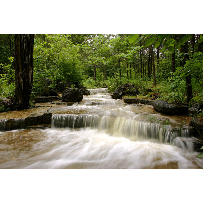 Ancilin Canyon Creek Rapids dans une forêt verte, H 24 po x l 36 po x P 1,25 po