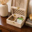 Boîte à souvenirs Mangowood Tihana avec 2 cloisons, blanc délavé-1861012248