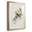 Spring Spring Pine Grosbeak - peinture encadrée-123802685-123802686