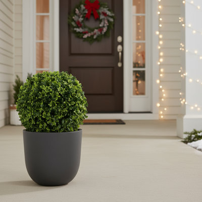 UV Rated Boxwood Topiary