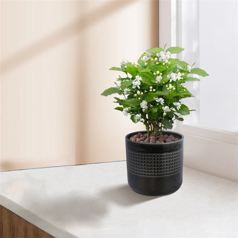 Handmade Black Glazed Ceramic Planter Set Of 3, 9" 7" 6" Diameter, Grid Pattern, For Succulents & Cacti Indoor/Outdoor Shelf & Table Use, Porous Clay With Drainage Holes