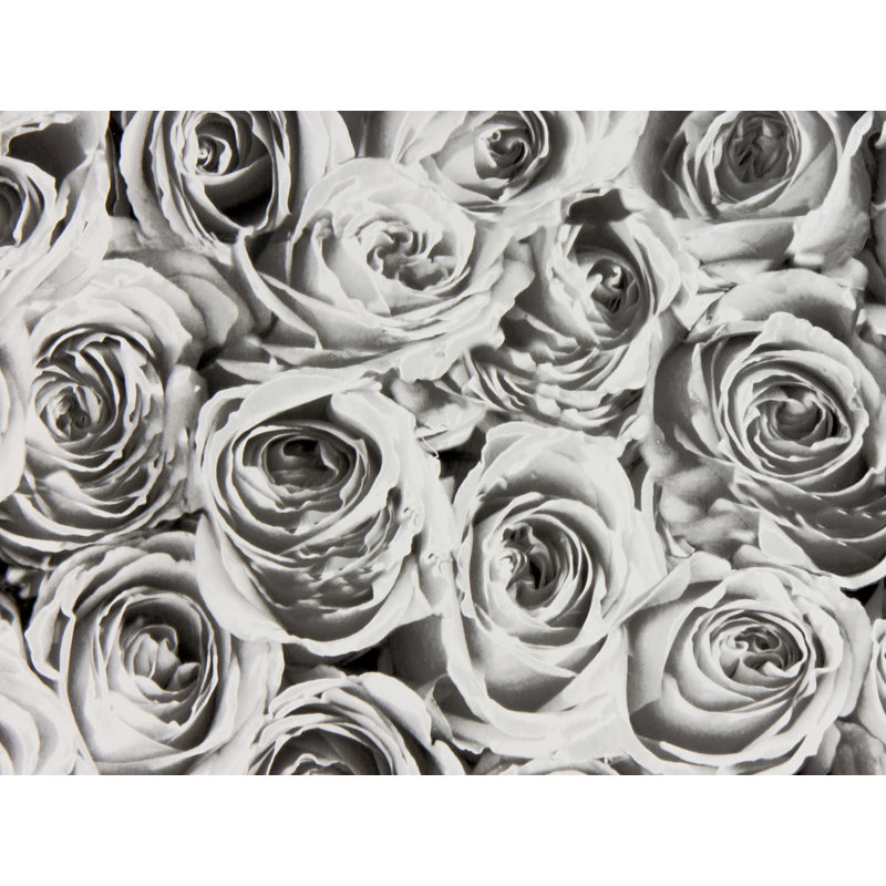 Adhésif décoratif pour fenêtre Roses, Blanc / gris