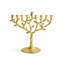 Tree of Life Menorah-93728873