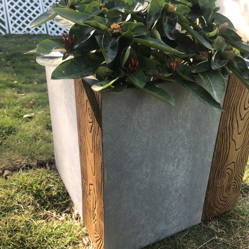 Boîte à fleurs en béton Wylies, H 9,8 po x l 9,8 po x P 9,8 po