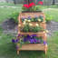 Jardin vertical en bois Rosie