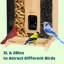Mangeoire à oiseaux en bambou Birdfy